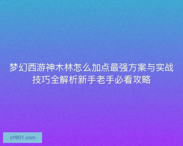 梦幻西游神木林怎么加点最强方案与实战技巧全解析新手老手必看攻略