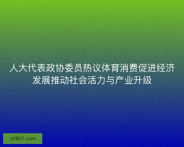 人大代表政协委员热议体育消费促进经济发展推动社会活力与产业升级