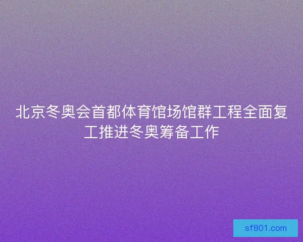 北京冬奥会首都体育馆场馆群工程全面复工推进冬奥筹备工作