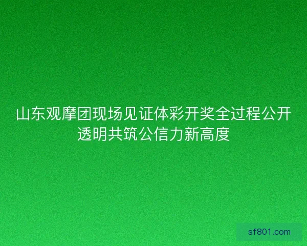山东观摩团现场见证体彩开奖全过程公开透明共筑公信力新高度